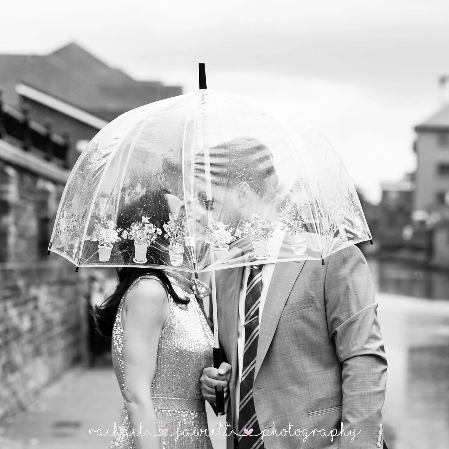 September Recap! ✨ 

Weddings shot, wedding galleries delivered. Lots of families and newborn babies photographed. Wedding albums created! Lots of fun and lots of time with my mini-mes! 🩷🩷

A pretty great month! ⭐️ 

#harrogateweddingphotographer #