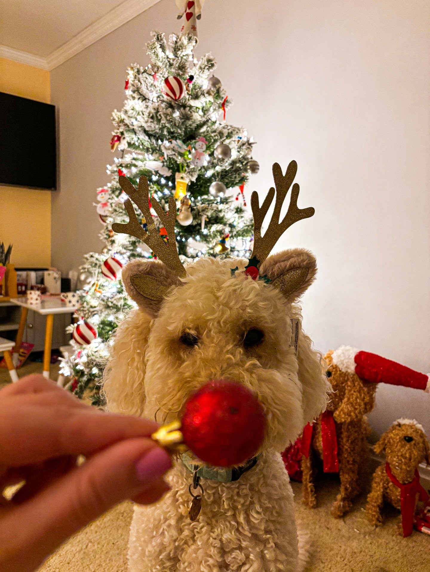 Merry Christmas to all my clients, followers, friends and family!!! 

It&rsquo;s been another epic year of photographing but now it&rsquo;s time to hang up the camera and enjoy the festive season with my family. 🎄🎅🏽❤️ Sending lots of Christmas spa