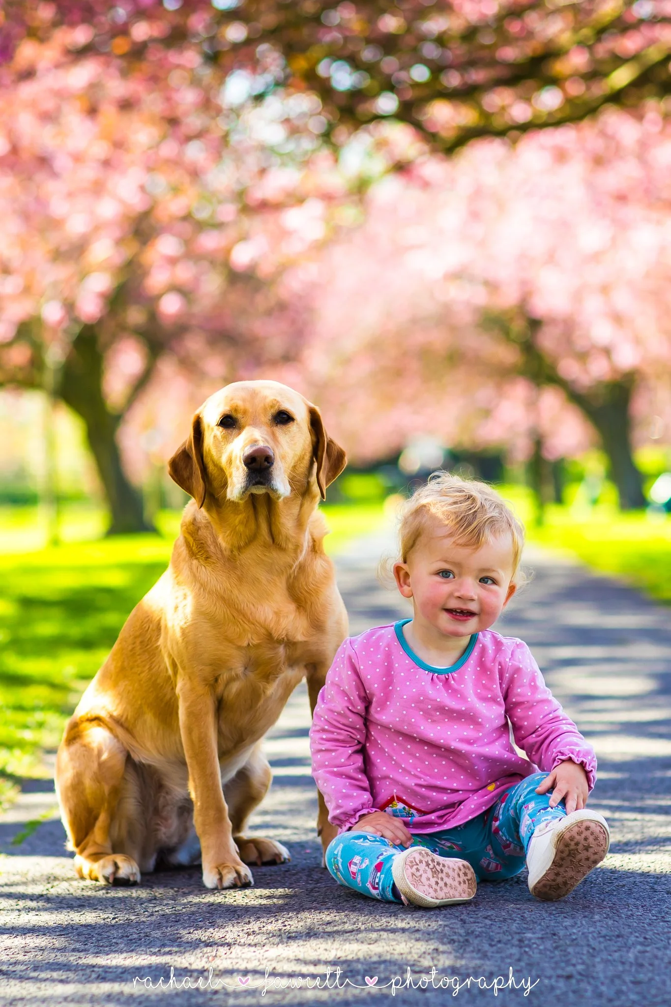 Harrogate Family Photographer | Highlights of 2025