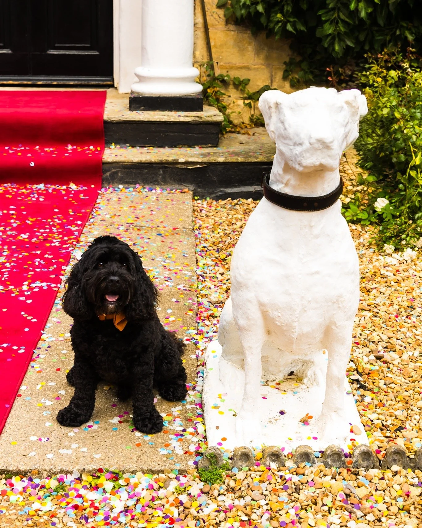 Nothing beats that 'Just Married' feeling in the confetti 🙃🥰😆

How are we rating this photo out of 10!?? Let me know below! 👇

#HarrogateWeddingPhotographer #ThirskWeddingPhotographer #NorthYorkshireWeddingPhotographer