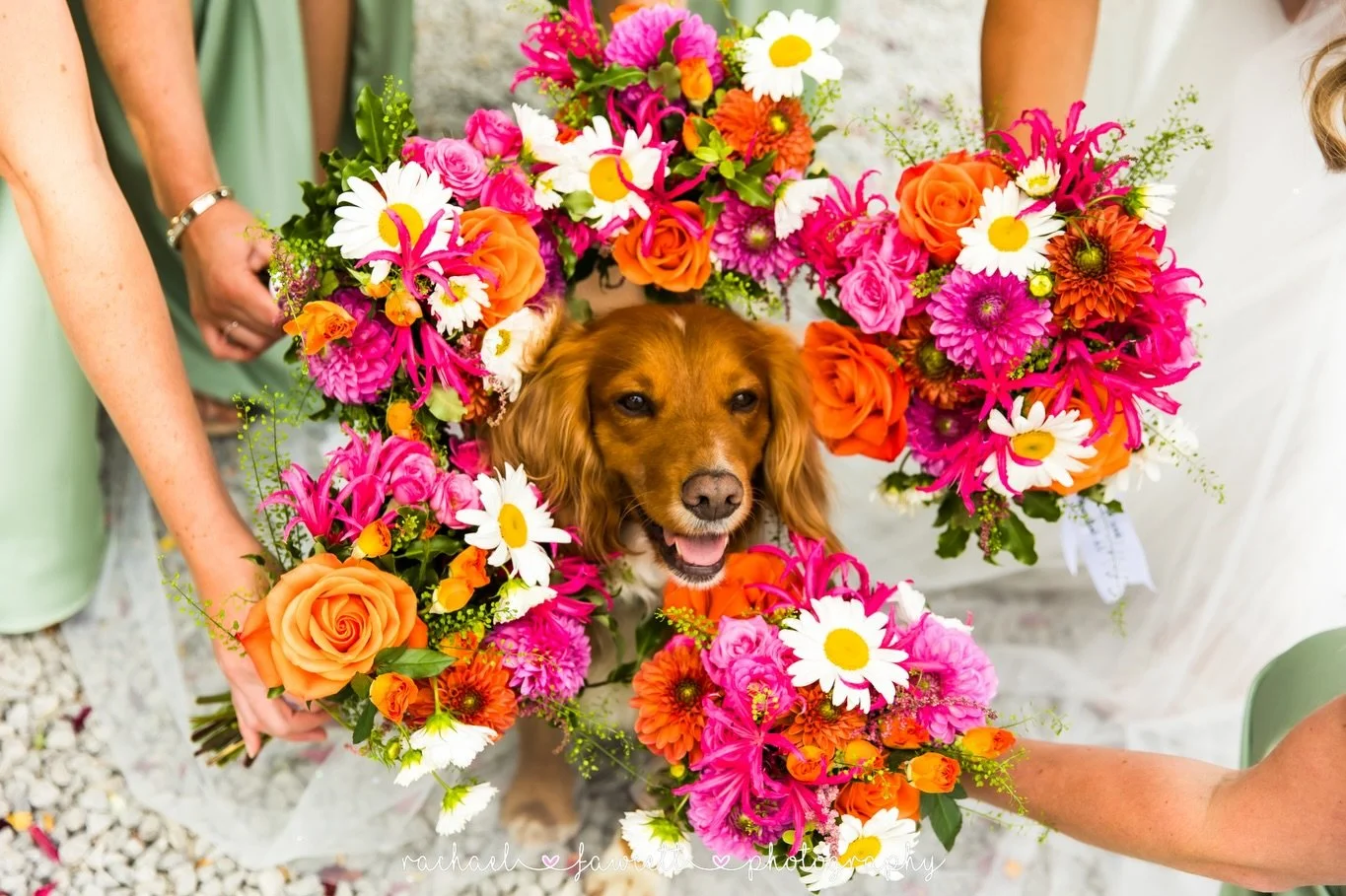 🌺🧡 RUM 🩷🪷

I promised you all a Rum post... so here it is. Which one is your favourite? 😍

Gorgeous bouquets by @lou_4seasons 

#harrogateweddingphotographer #northallertonweddingphotographer #northyorkshireweddingphotographer