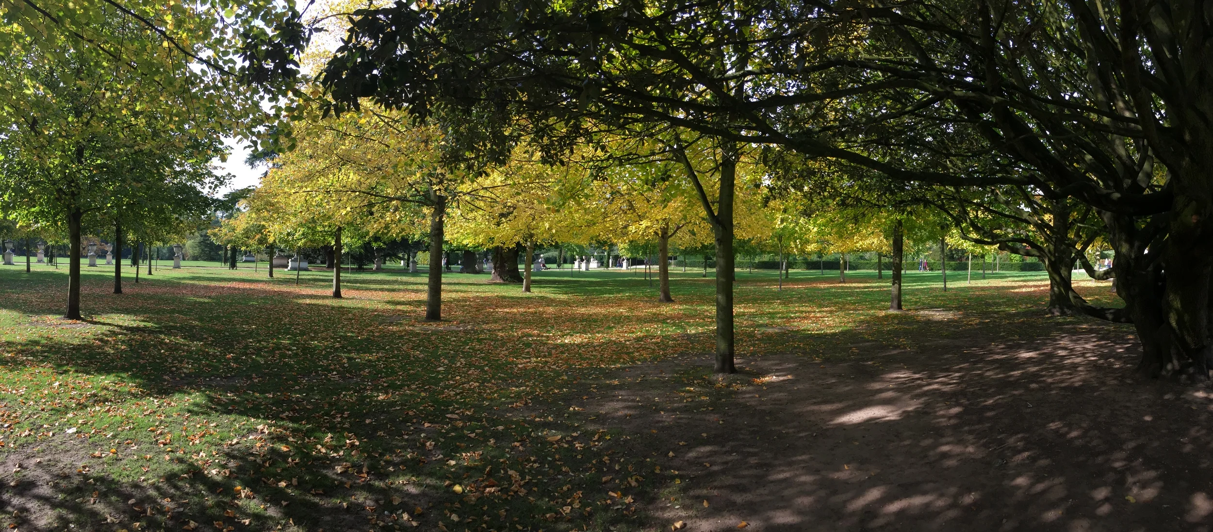 2015-10-18 12.22.14.jpg