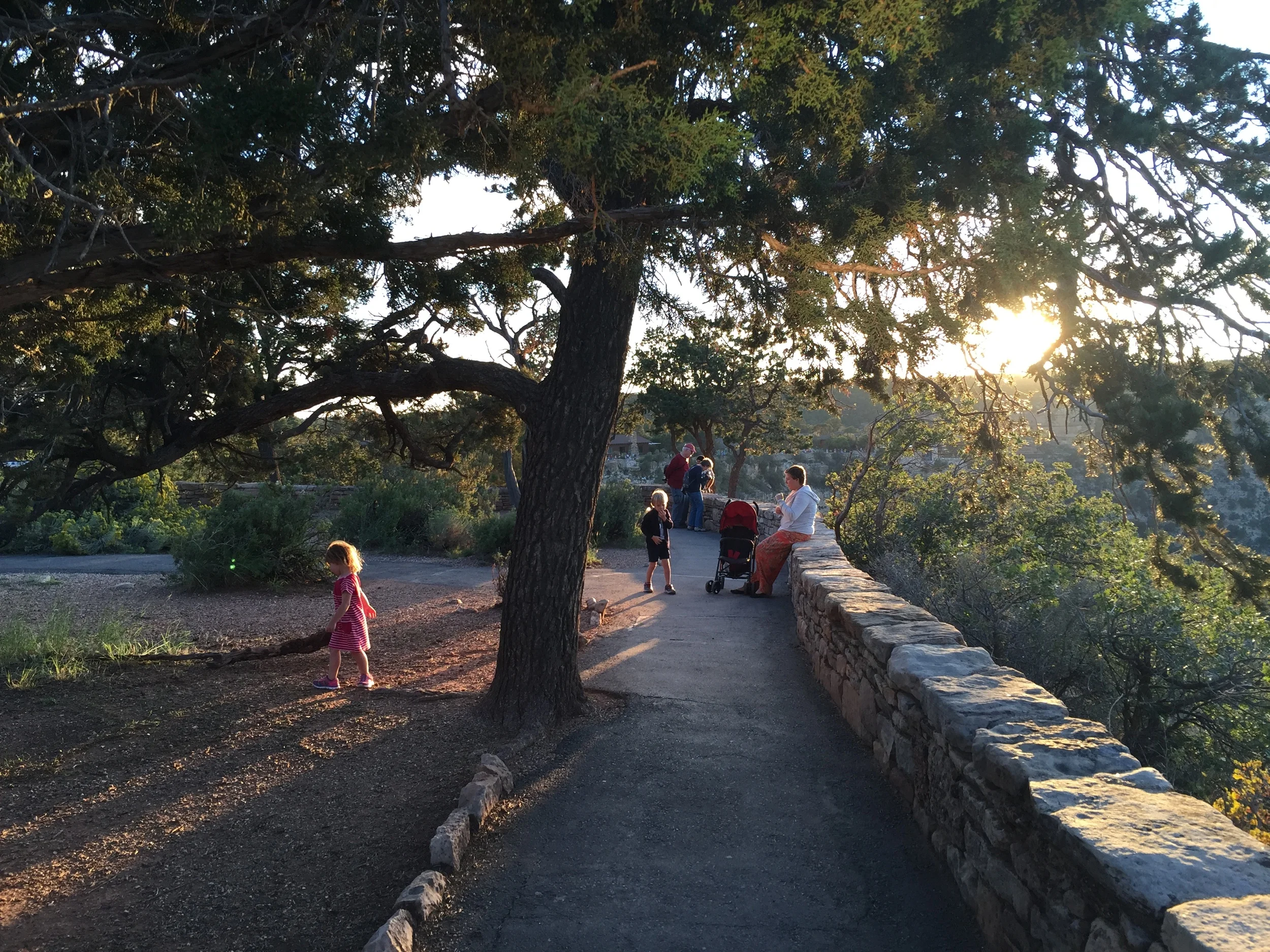 2015-09-03 18.34.32.jpg
