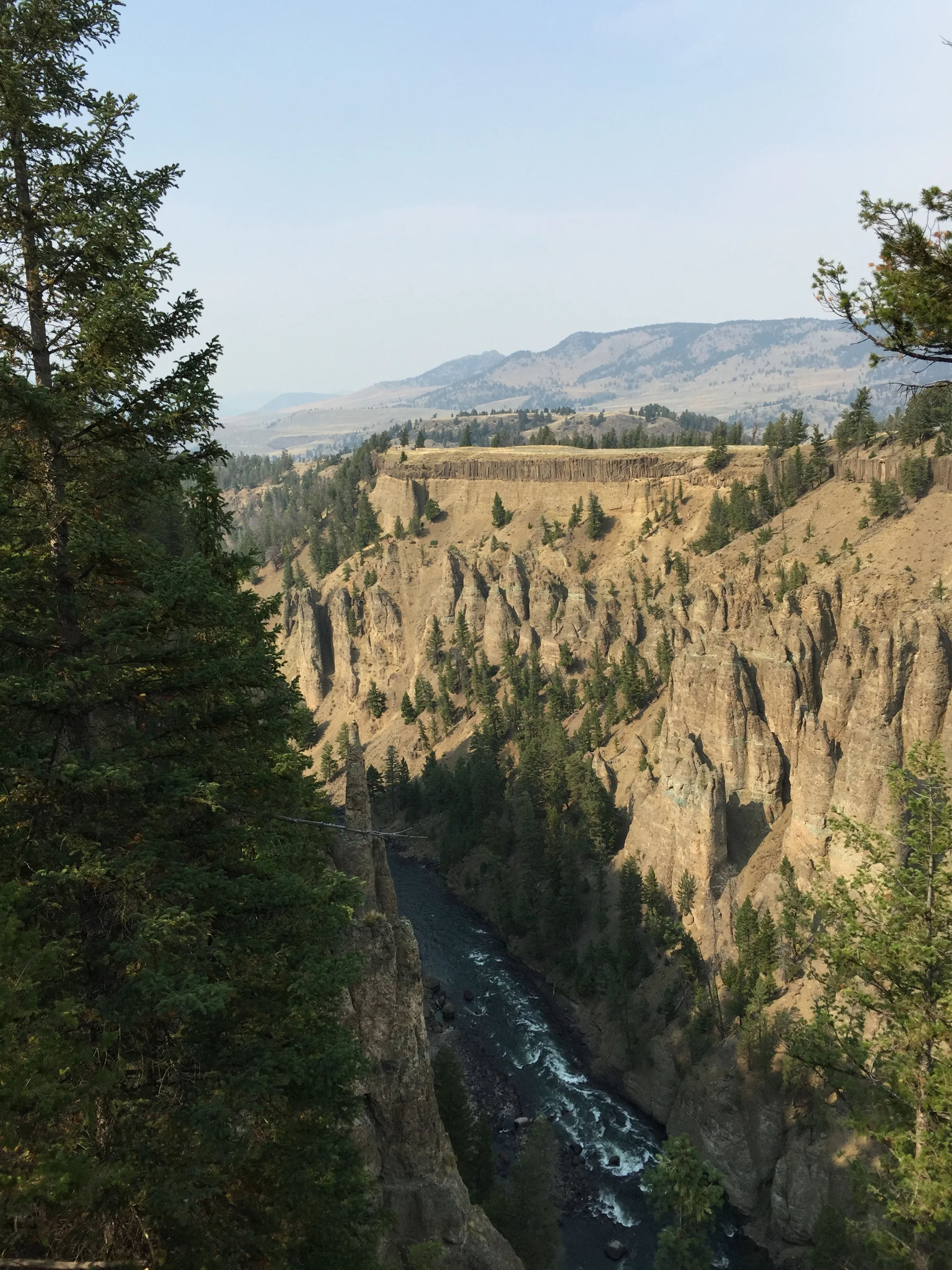 2015-08-27 15.53.34.jpg