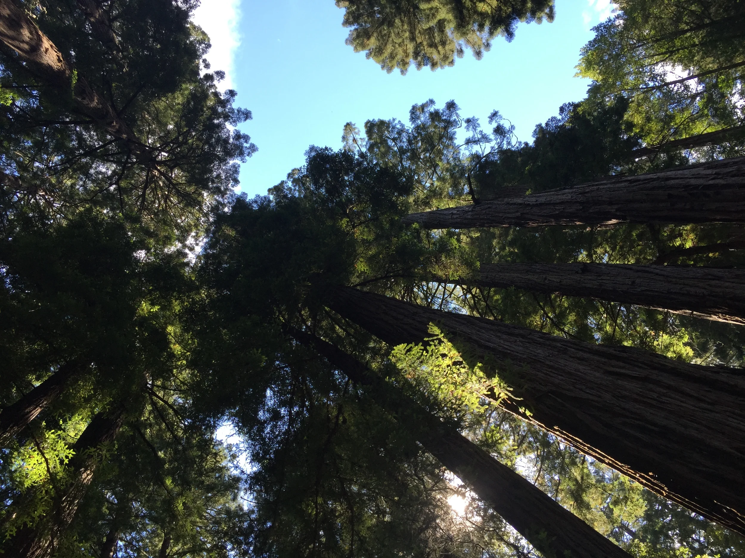 2015-08-11 14.39.41.jpg