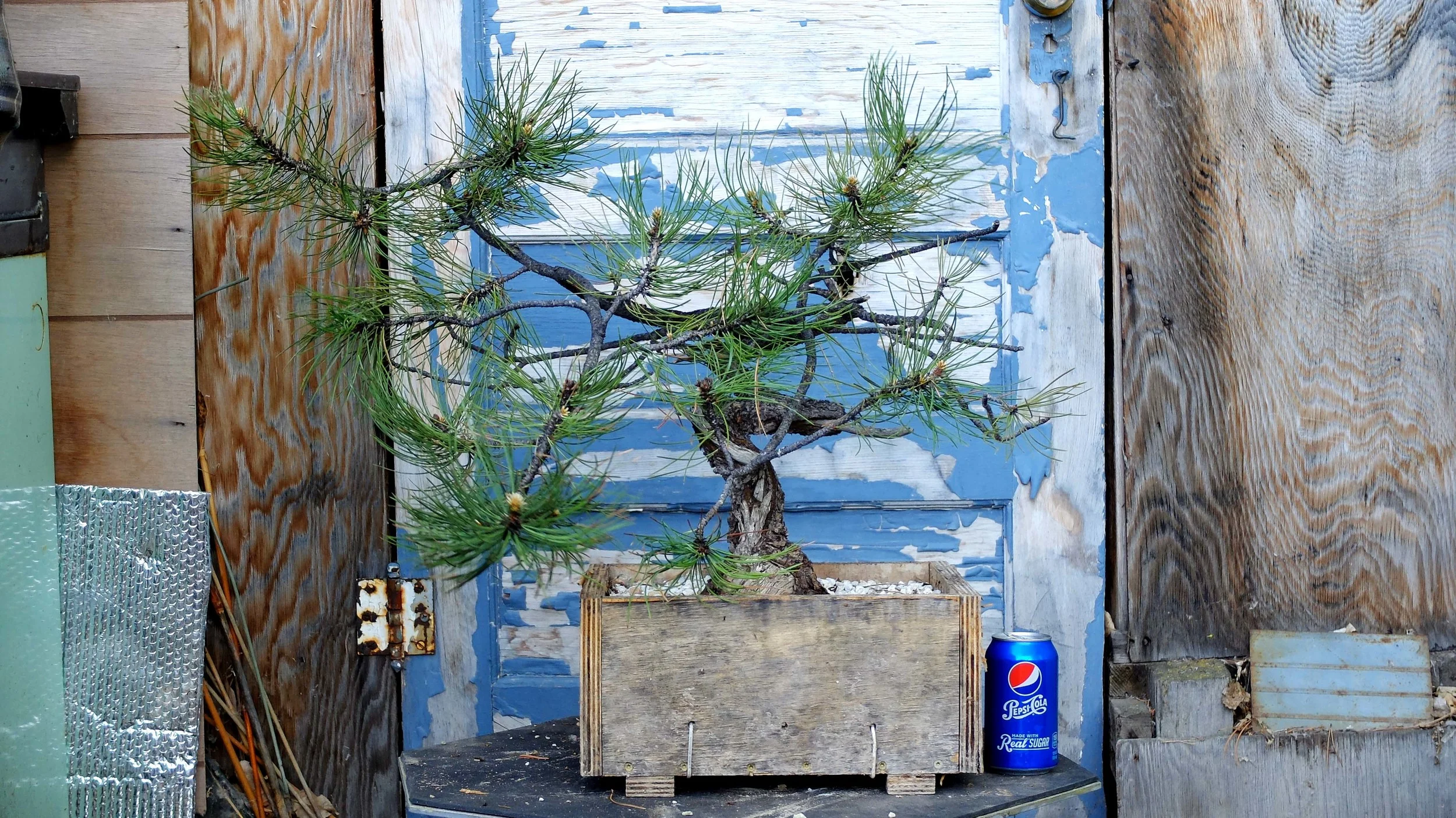 PP8_7.jpg