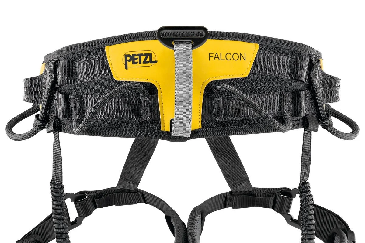 FALCON 4.jpg
