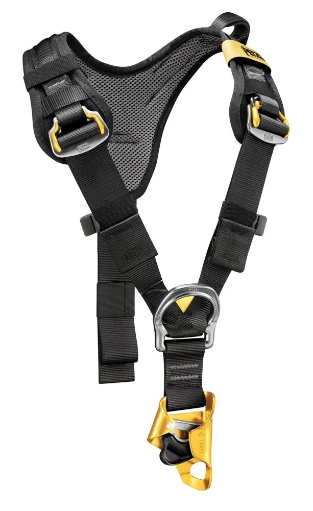 TOP CROLL®️ L.jpg