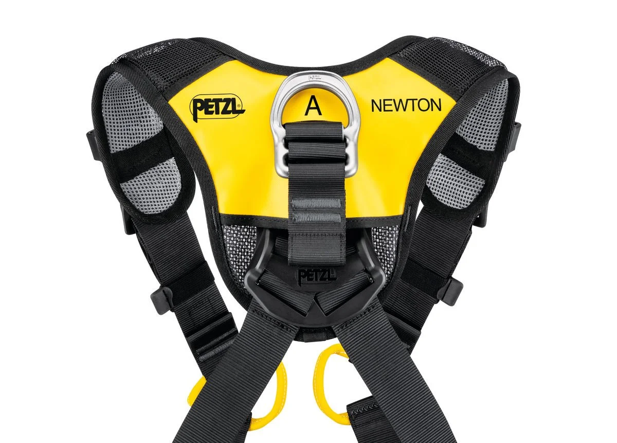NEWTON FAST International Version 4.jpg