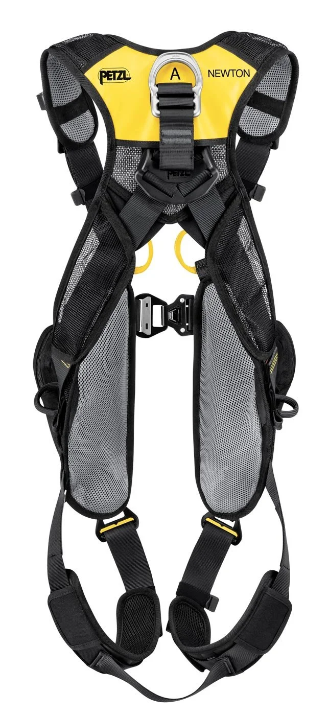 NEWTON EASYFIT International Version 1.jpg