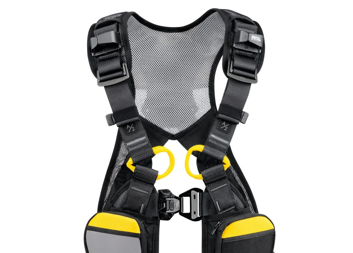 NEWTON EASYFIT International Version 3.jpg
