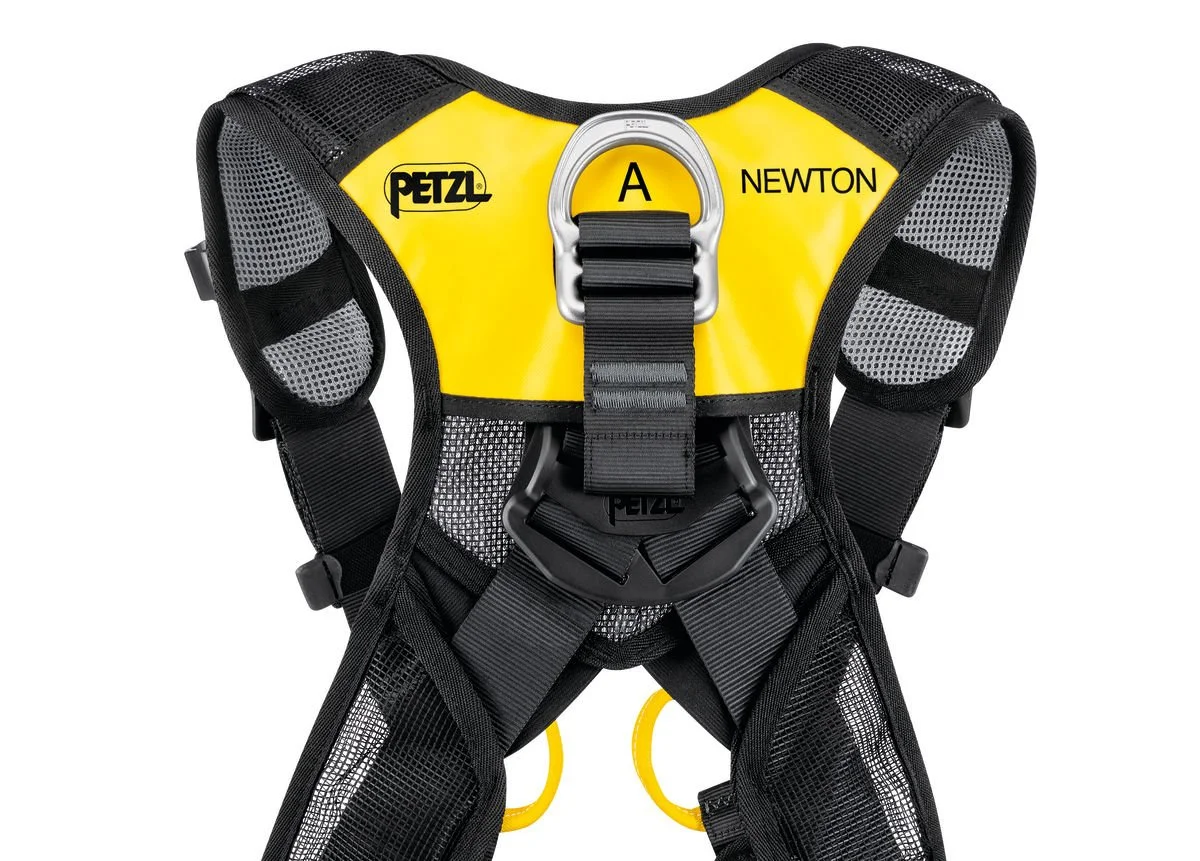 NEWTON EASYFIT International Version 5.jpg