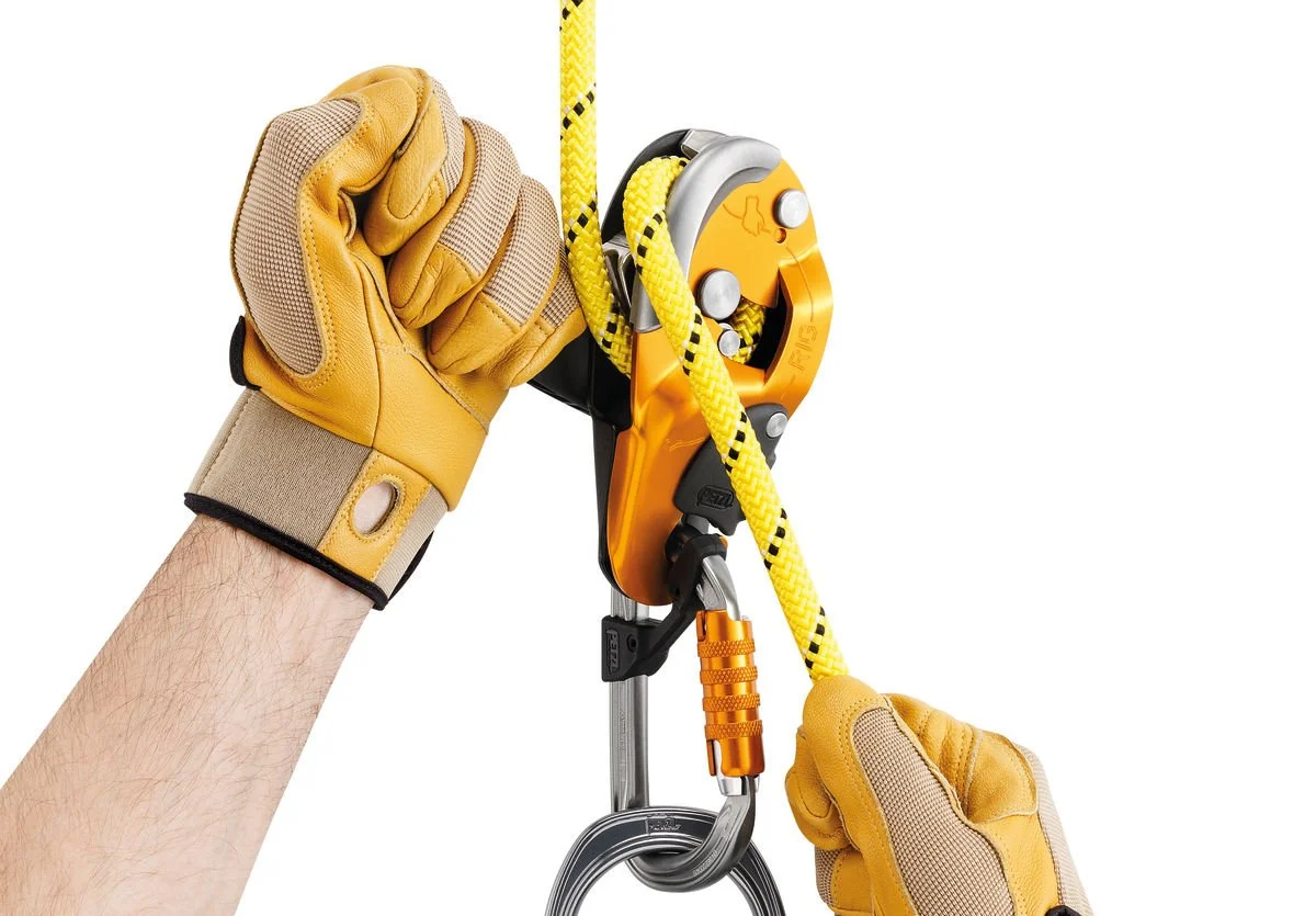 RIG 3.jpg