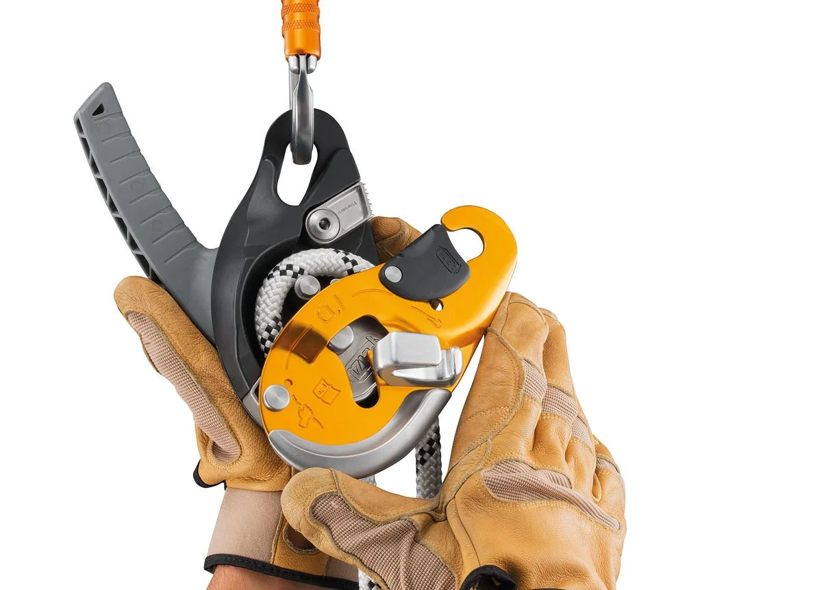 ID RIG 2.jpg