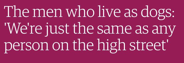 (via the Guardian)
