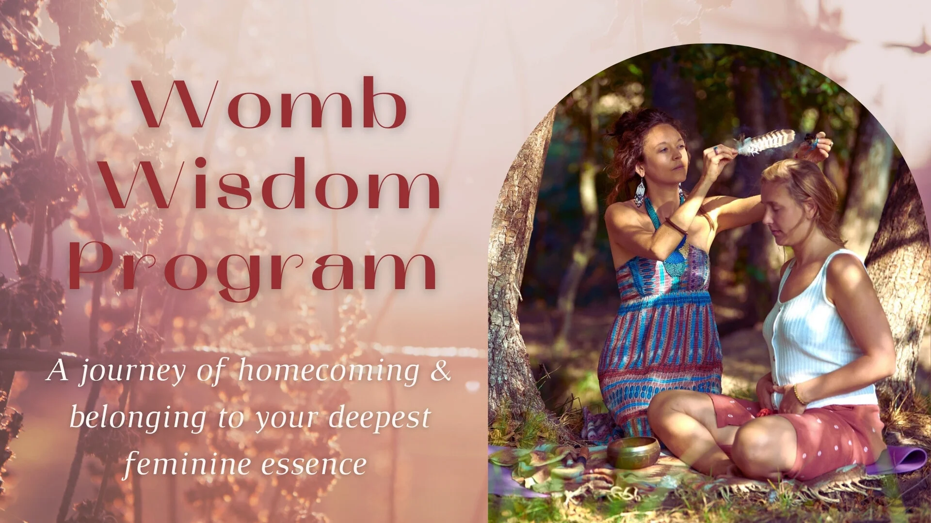 Womb Wisdom program website.jpg