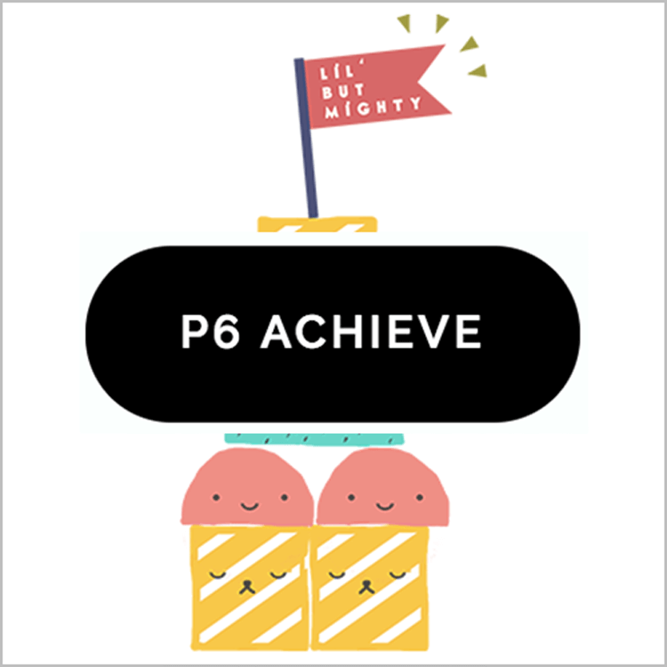Primary 6 ACHIEVE PROGRAMME