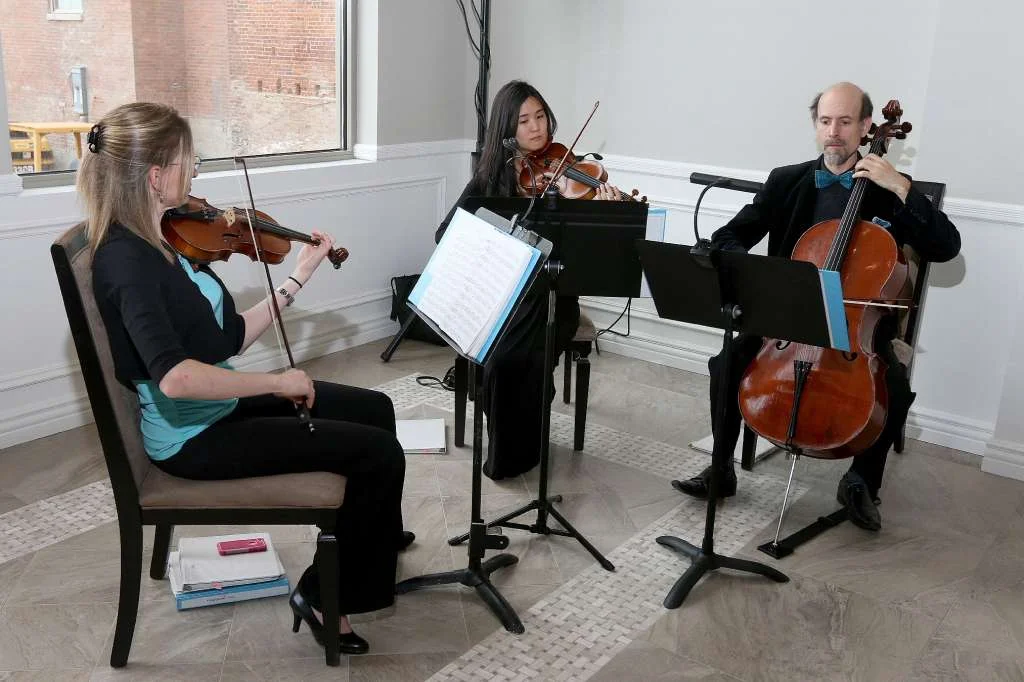 Lark Strings featured in the Times Union