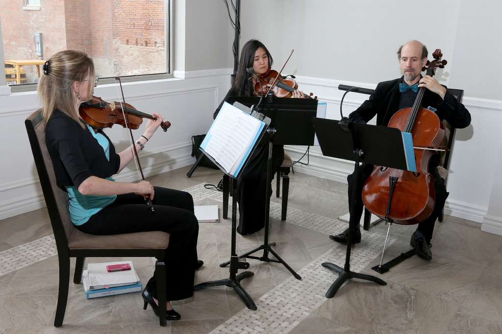Lark Strings featured in the Times Union