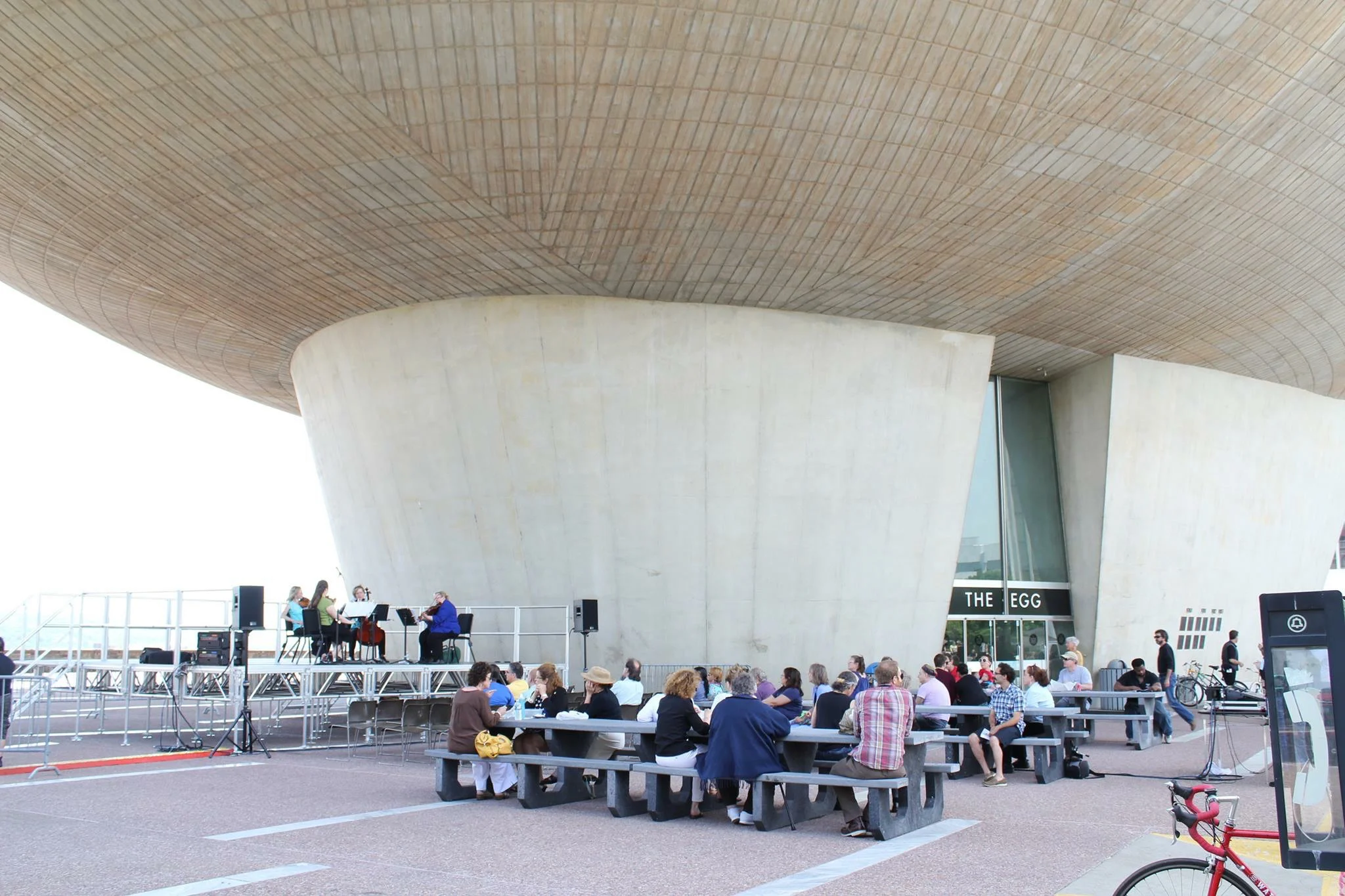 lark strings performs at the egg