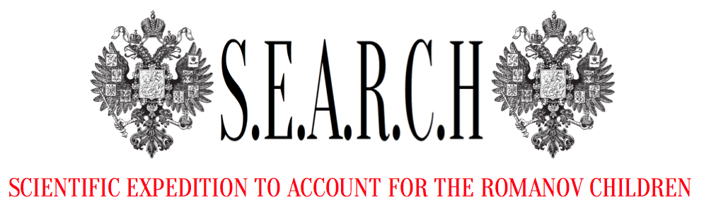 searchfoundationinc