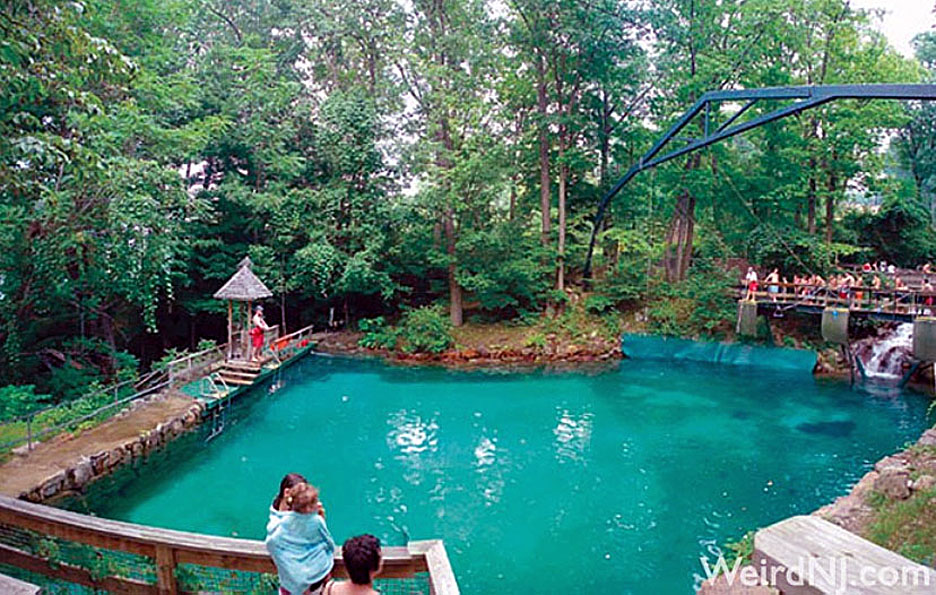 action_park_tarzan_swing-4.jpg