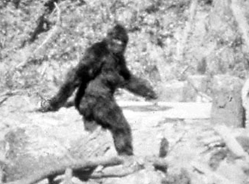 Still from the Patterson–Gimlin film