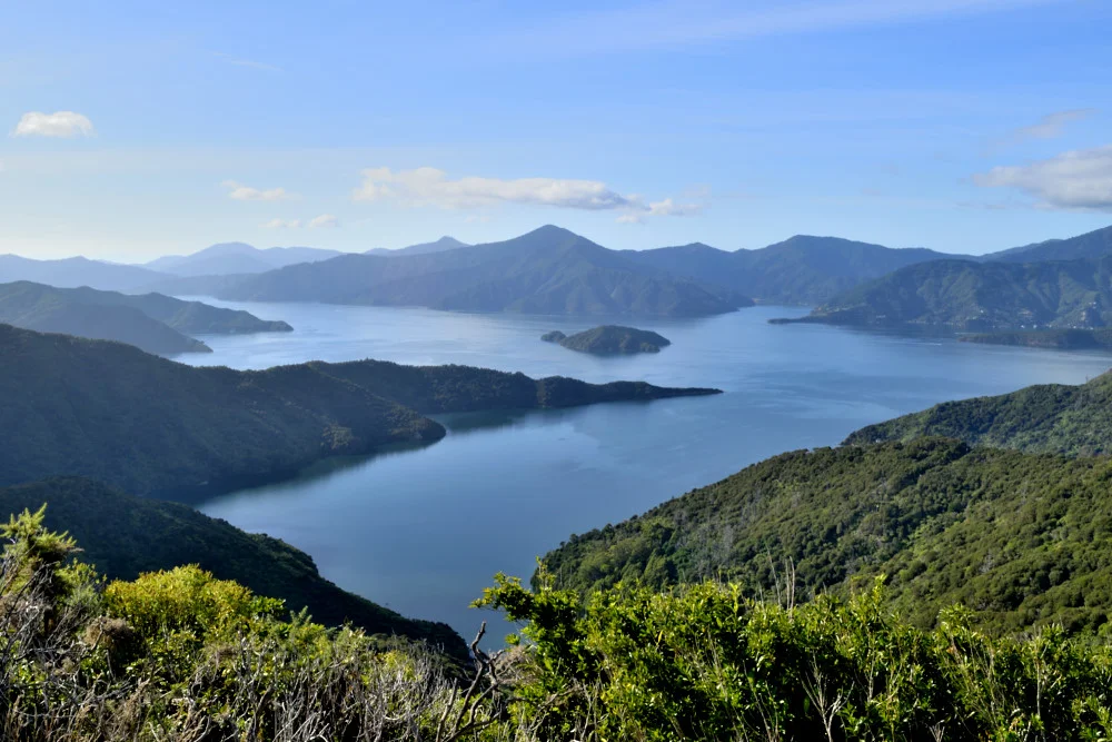 One of many nice views from the Queen Charlotte Track.