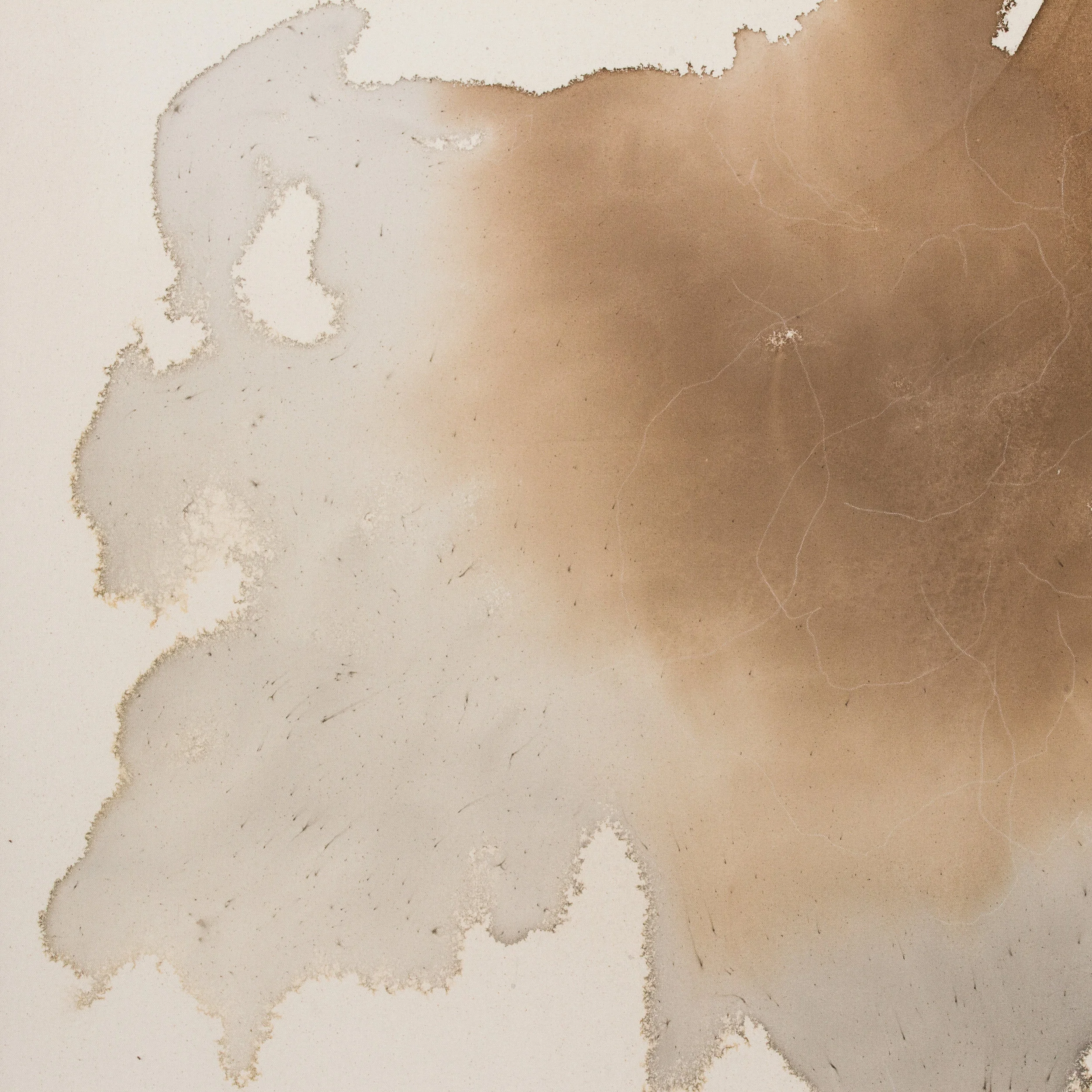 Meredith Mejerle_Fading Petals_30x30_Detail.jpg