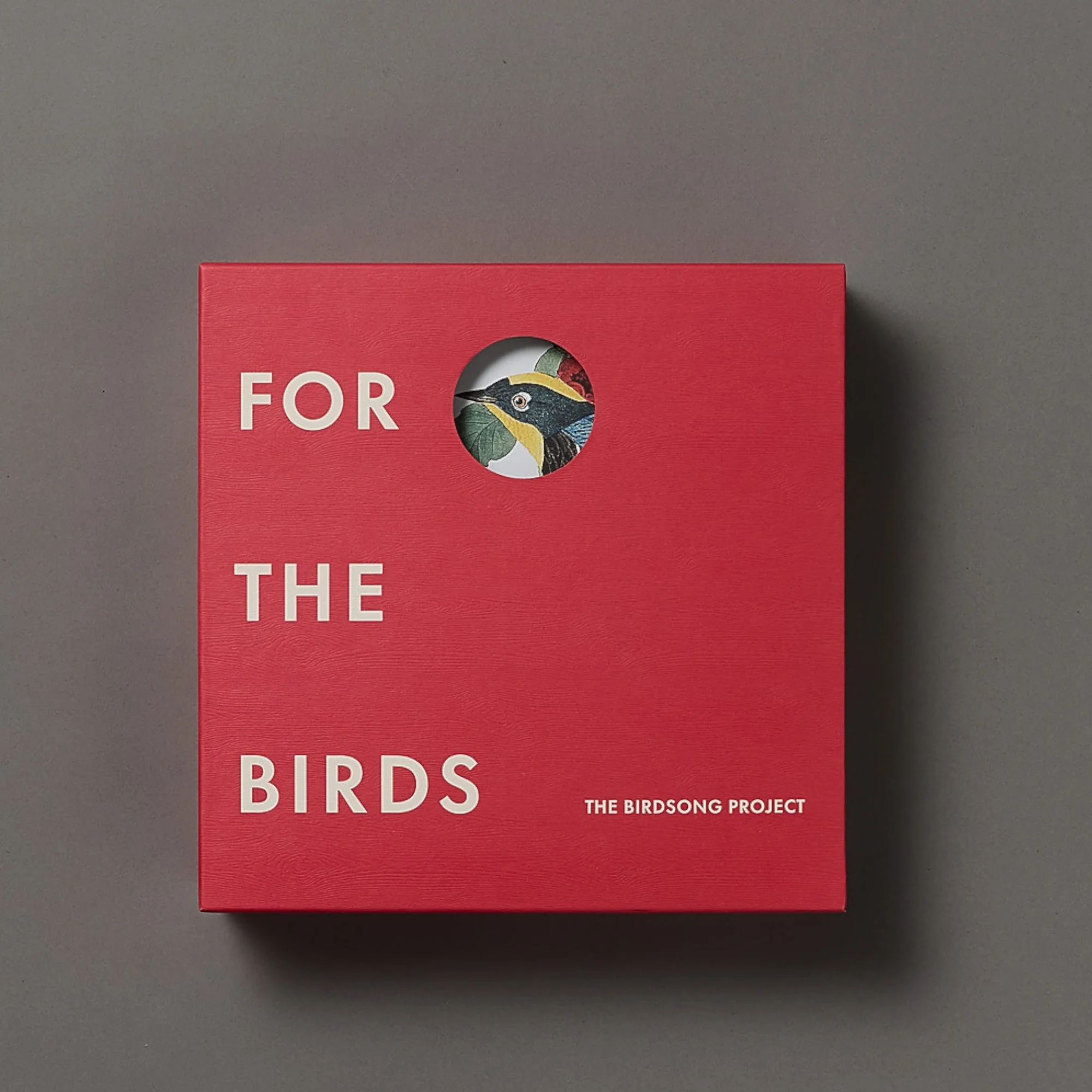 Birdsong Project 1.jpg