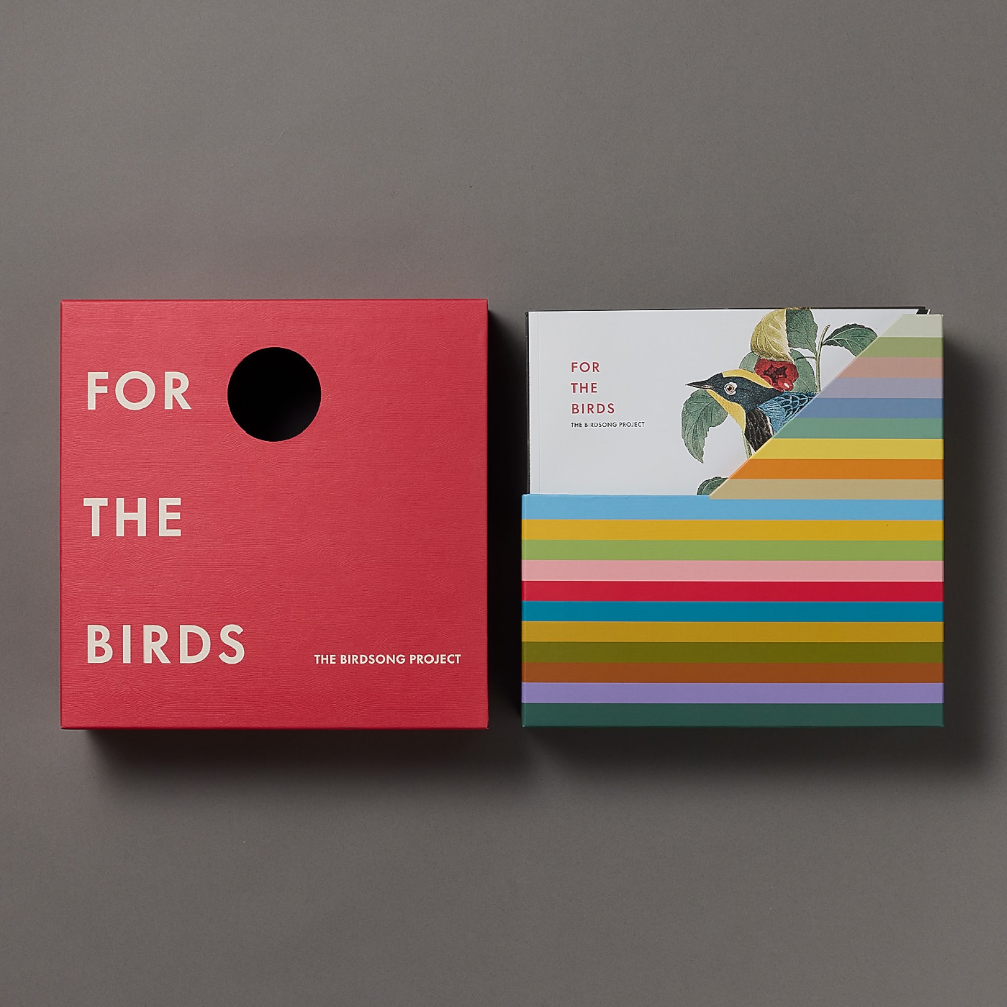 Birdsong Project 3.jpg