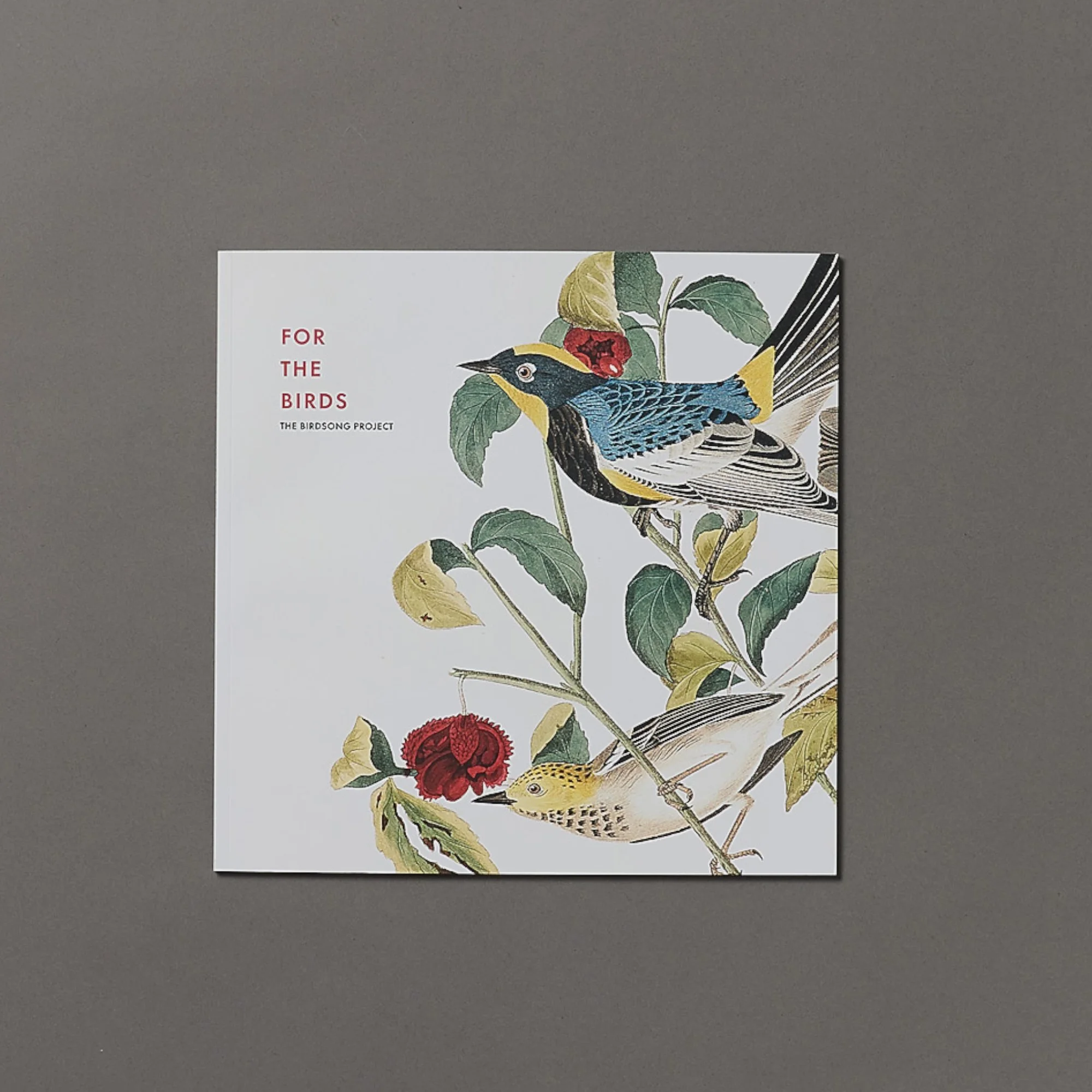 Birdsong Project 4.jpg