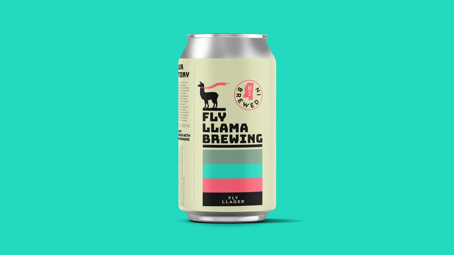 FlyLlama_Branding_RD5_r05.jpg