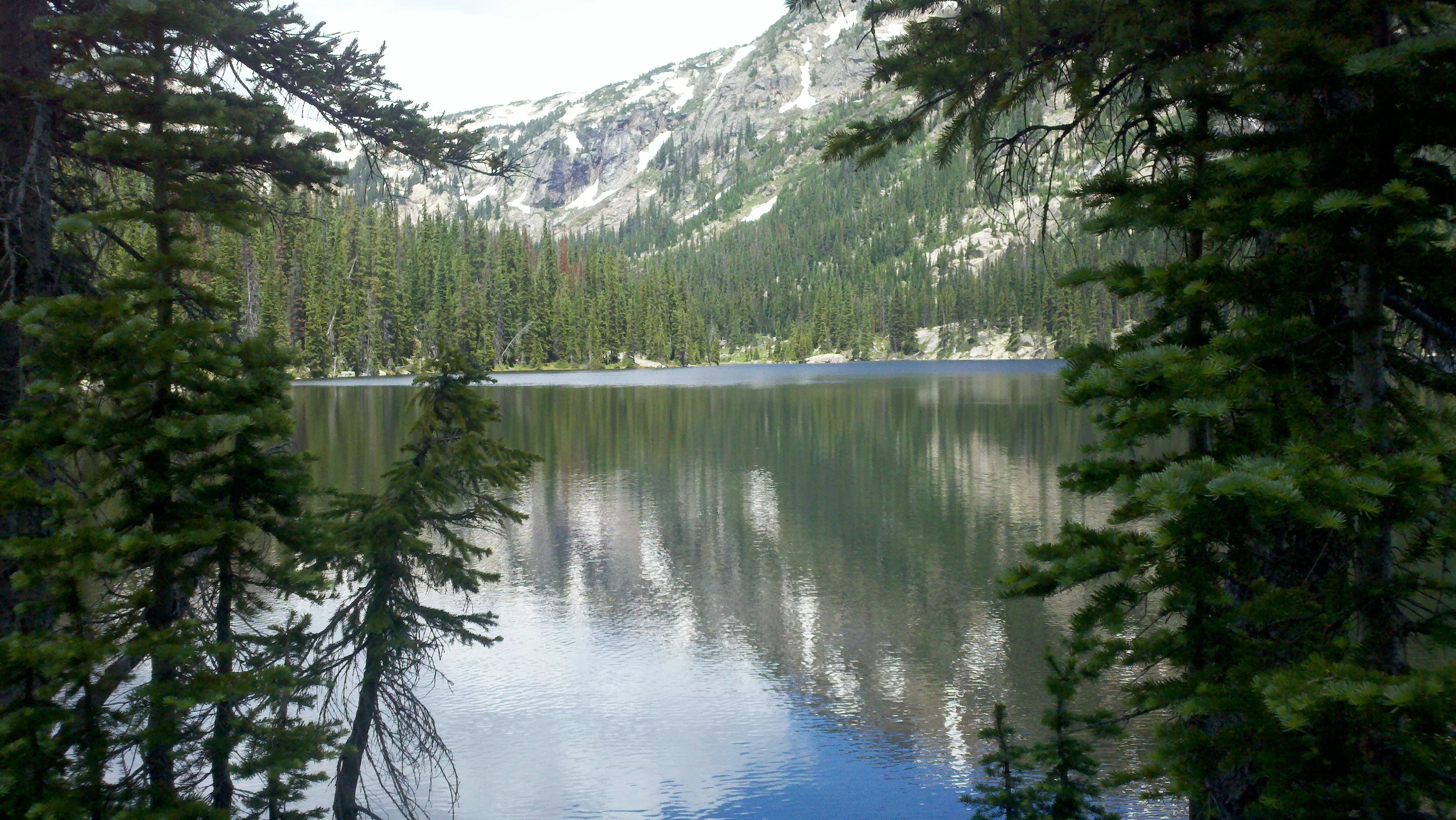 Possible Background5.jpg
