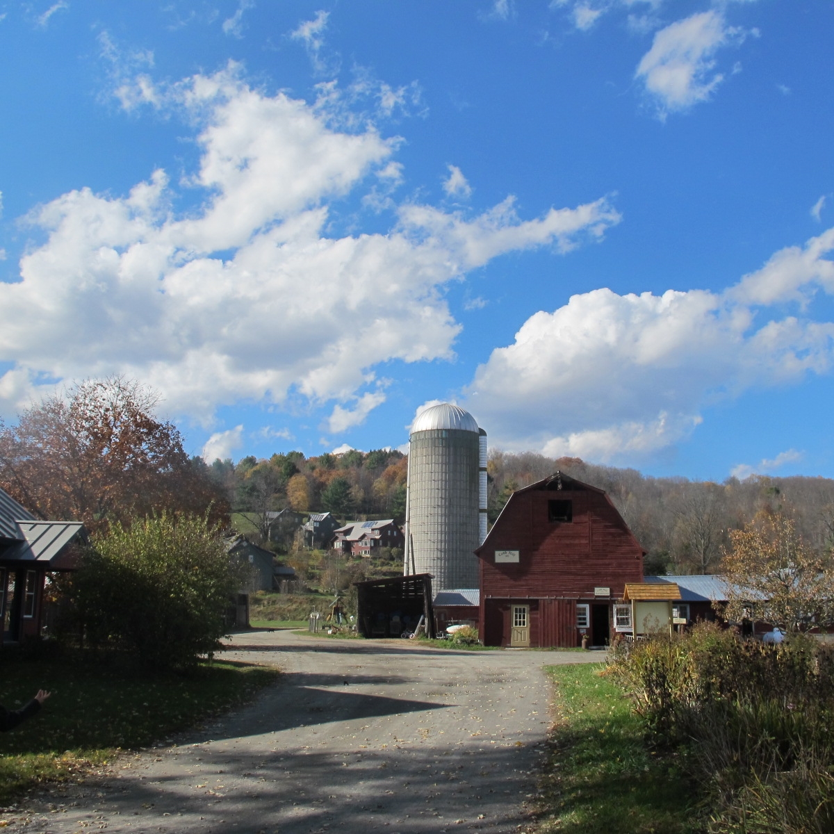 Entrance to Cobb Hill