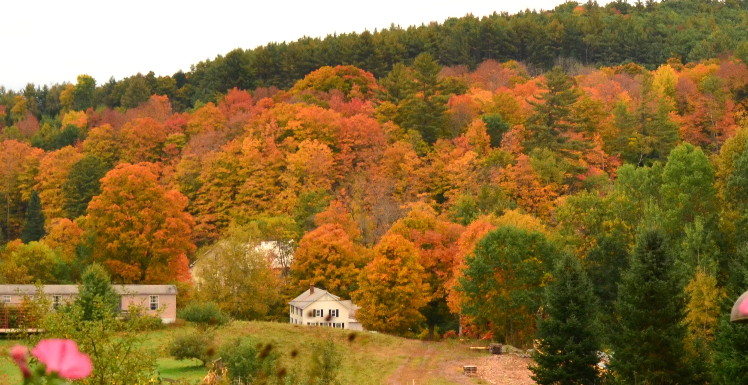 Colors_2531 copy.jpg