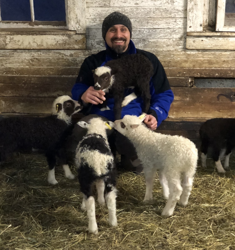 Rooz lambs (752x800).jpg