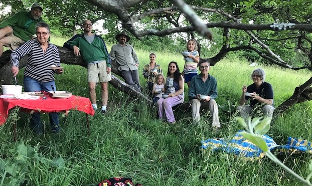 Apple tree.jpg