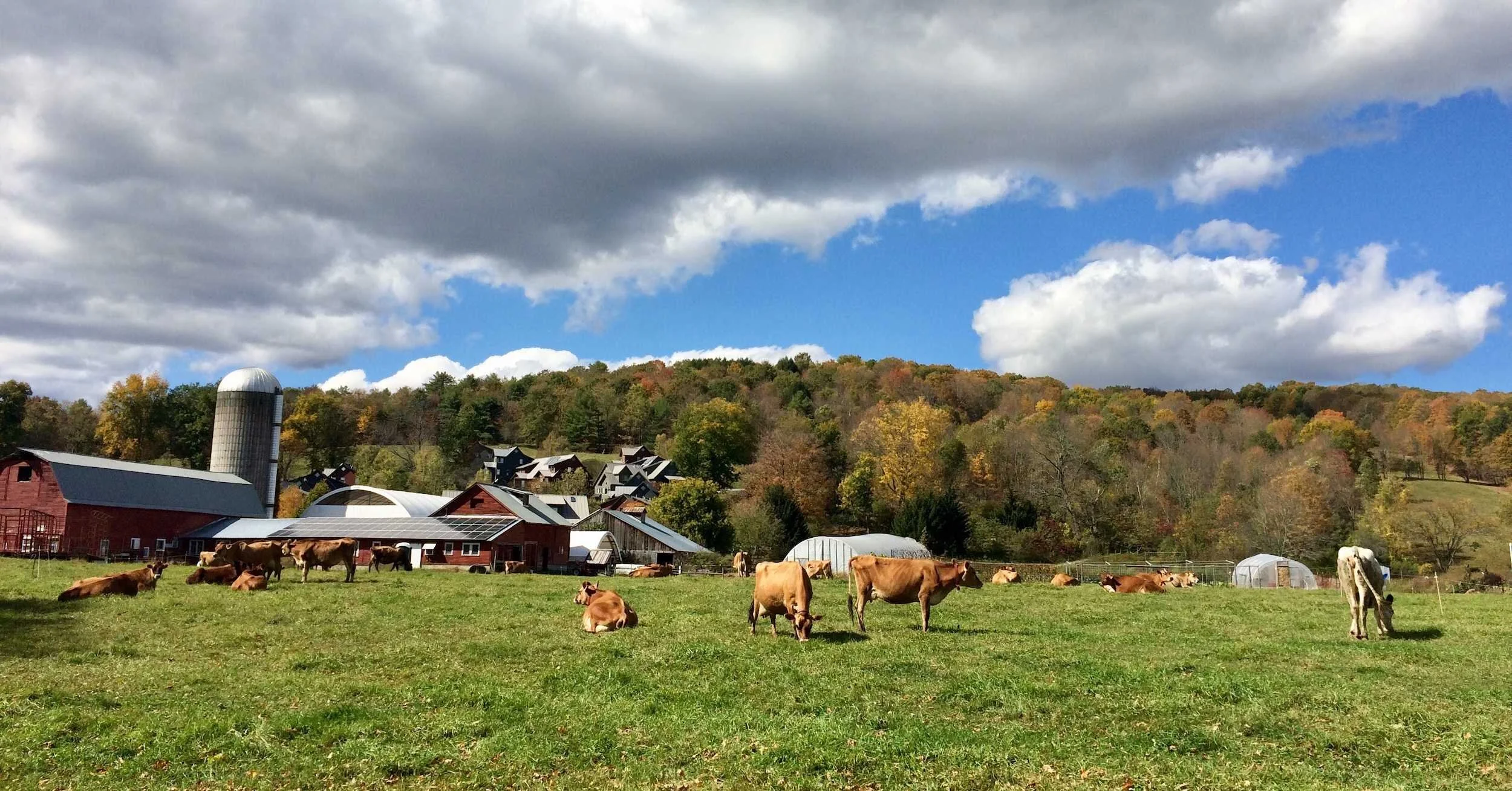 On the Hill — Cobb Hill CoHousing