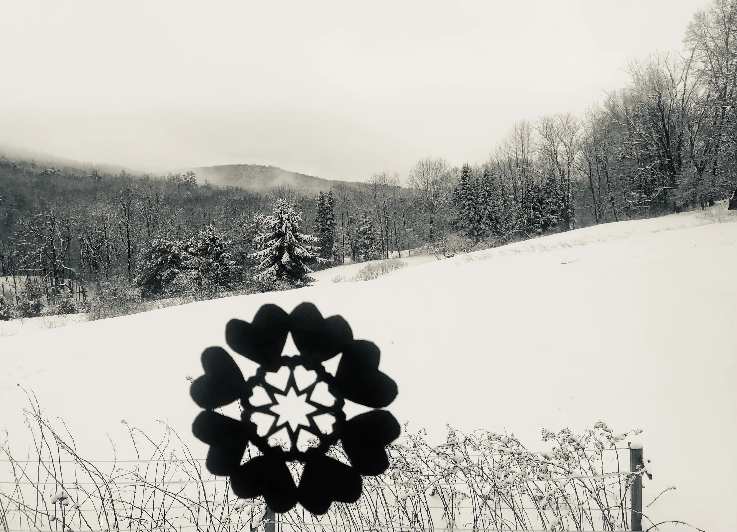 winter view.jpg