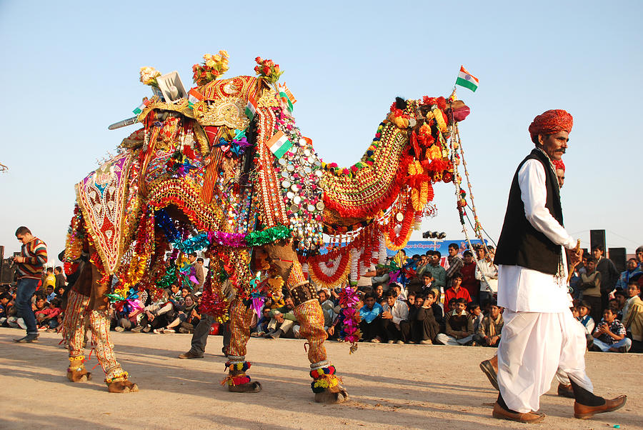 Bikaner-Camel-Festival.jpg