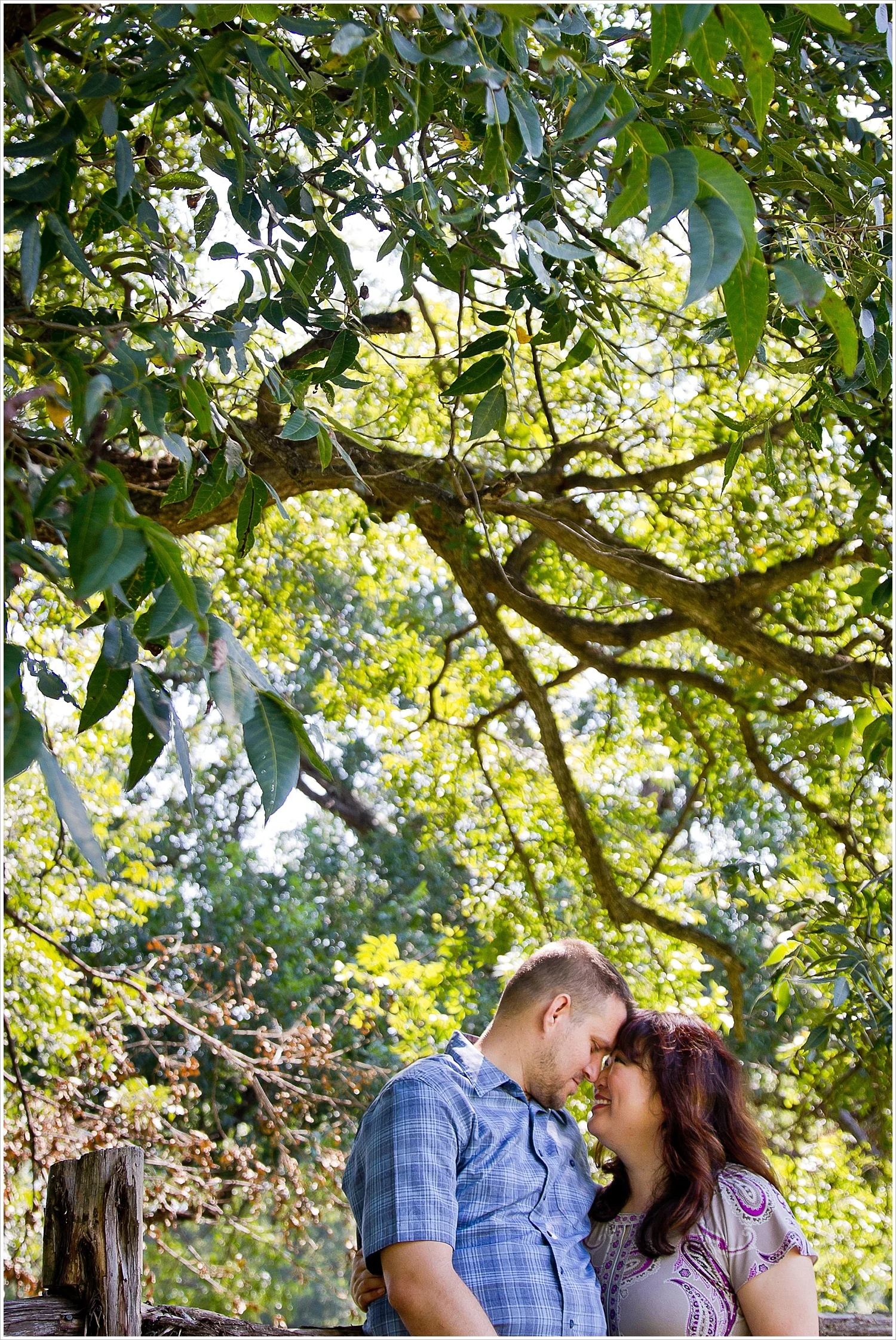 A couple embraces under a sunlit tree during their engagement portraits at Brazos Bluffs Ranch in Waco, Texas - Jason & Melaina Photography, www.jasonandmelaina.com