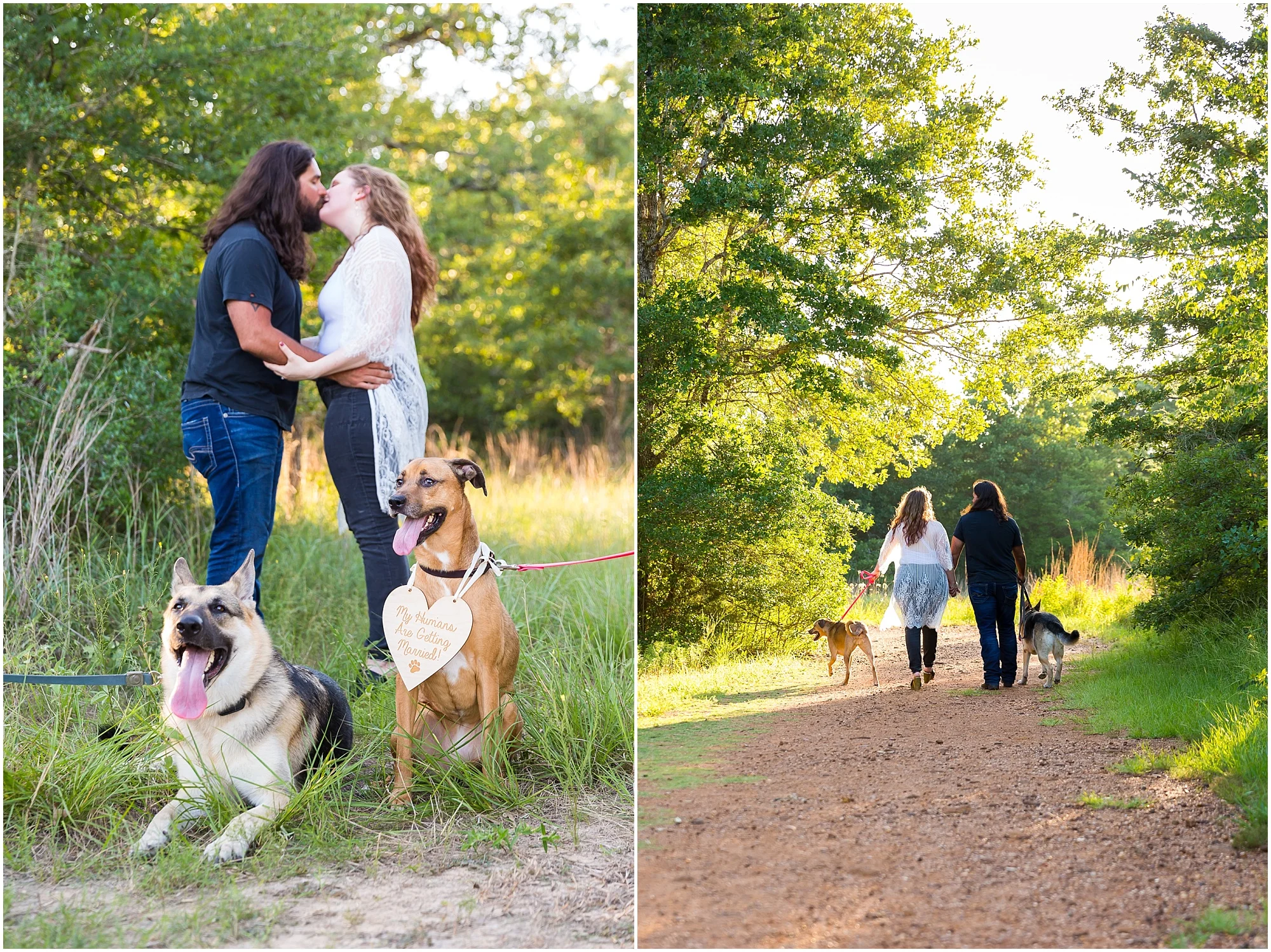 A couple's dog wears a "My Humans are getting married" sign during an engagement session - Jason & Melaina Photography - www.jasonandmelaina.com