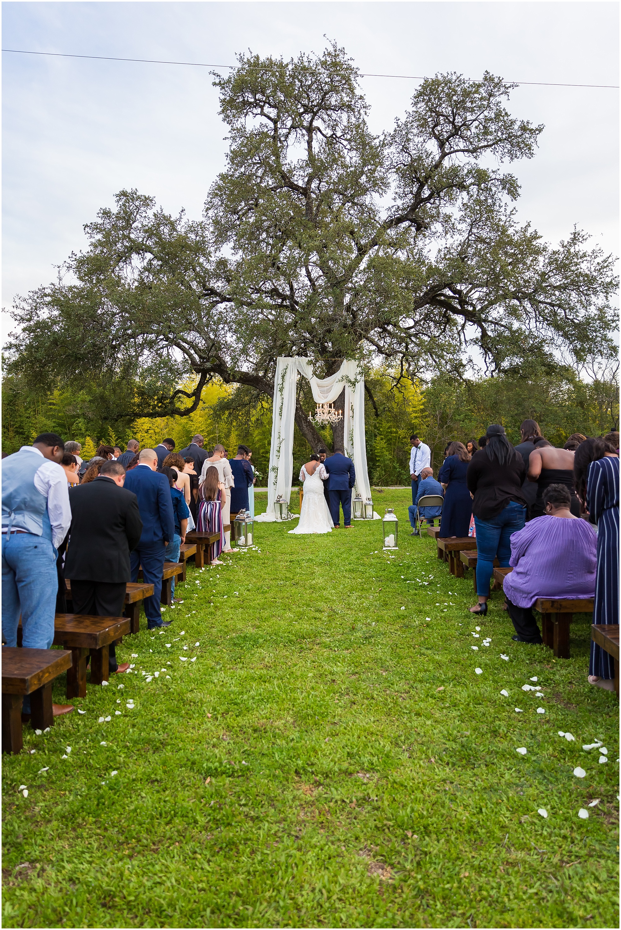 A large oak tree stands over a beautiful outdoor wedding ceremony in Cameron Park in Waco, Texas - Jason & Melaina Photography - www.jasonandmelaina.com