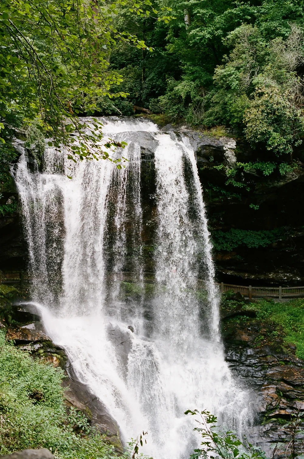 highlands_nc_family_photographer035.jpg