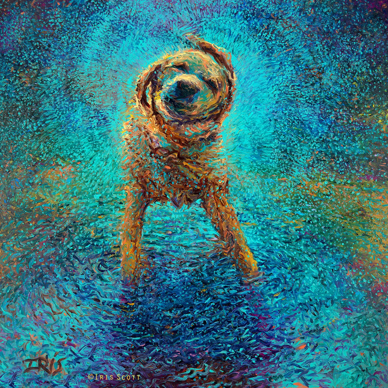 Shakin' off the Blues | 36x36in Original SOLD | Buy Prints