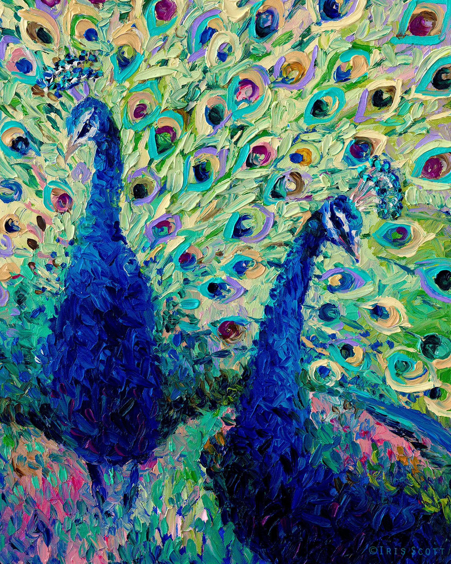 Gemini Peacocks | 16x20in Original SOLD | Buy Prints