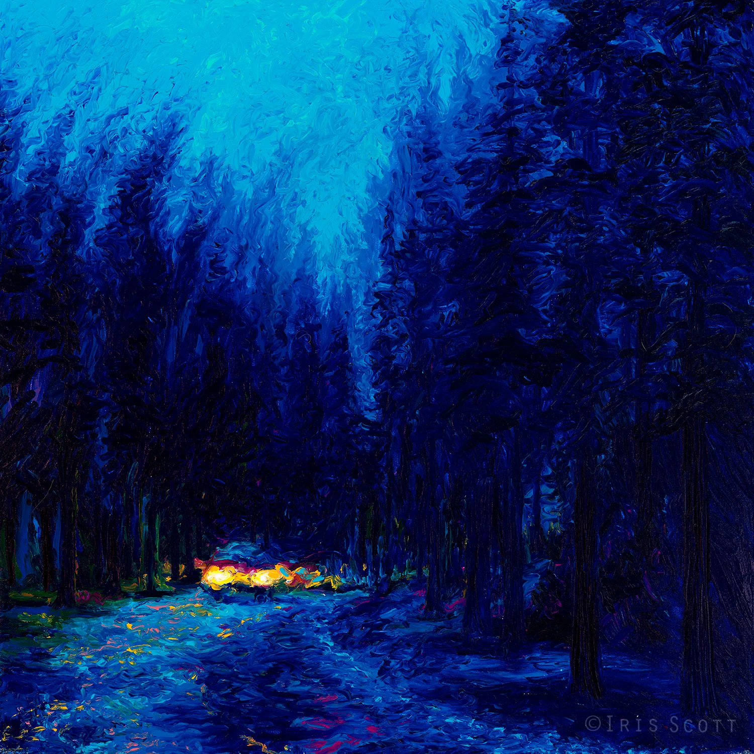 Blue Redwoods | 36x36in Original SOLD | Buy Prints