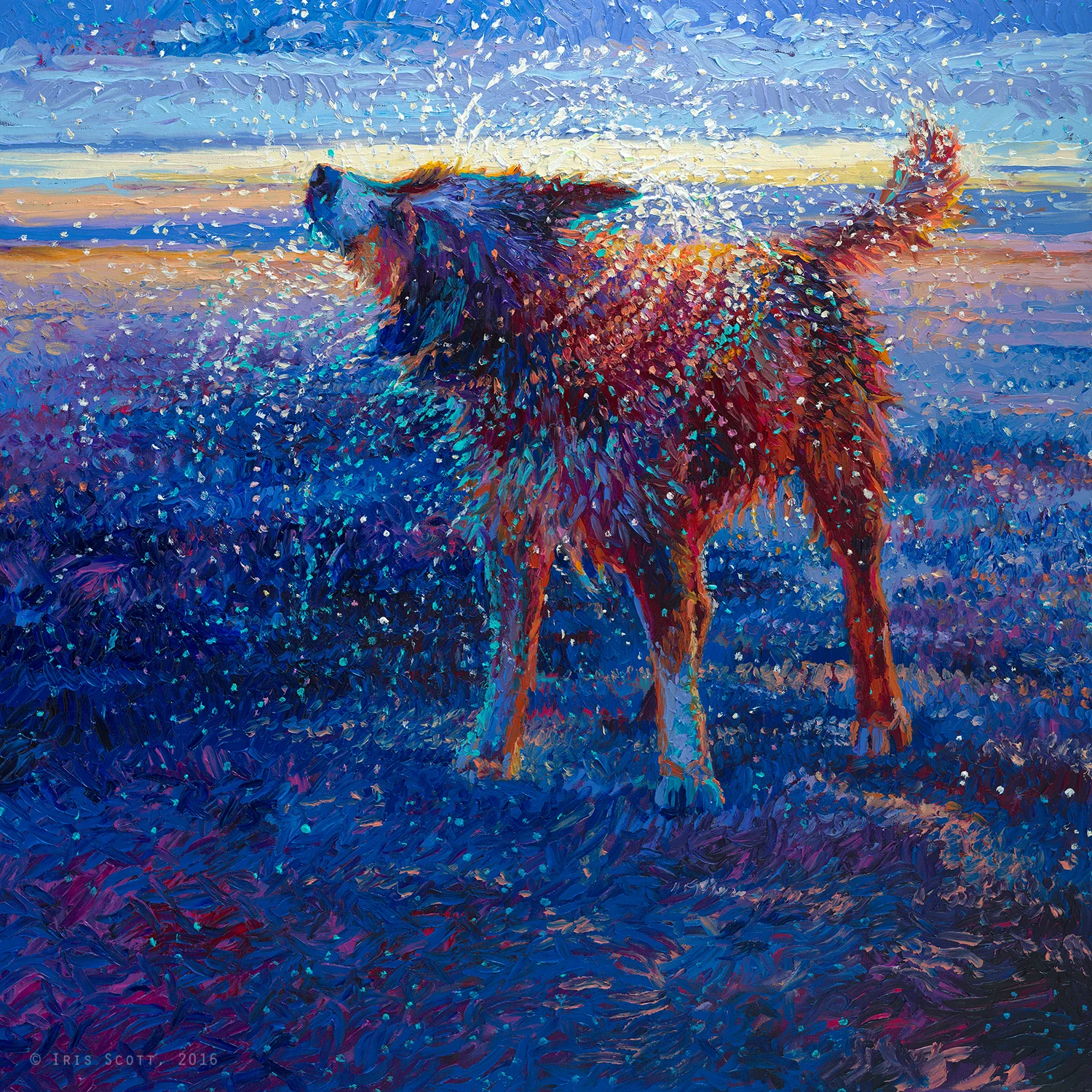 Coastal Canine | 36x36in Original SOLD | Buy Prints