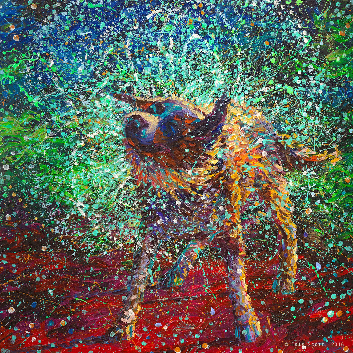 Collie | 30x30in Original SOLD | Buy Prints